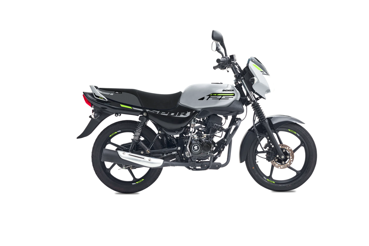 Boxer ct 125